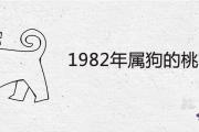 1982年屬狗的桃花劫是誰 會有婚外情嗎