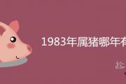 1983年屬豬哪年有災 一生劫數有幾次