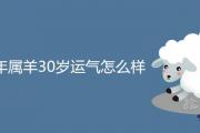 91年屬羊30歲運氣怎麼樣 2021年運勢詳細解析