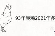 93年屬雞2021年多大 運勢及運程詳解