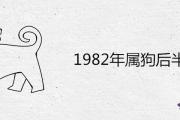 1982年屬狗后半生運勢詳解