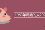 1983年屬豬的人2021年運程