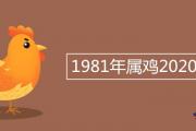 1981年屬雞2020年運勢