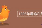 1993年屬雞幾月命苦