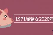 1971屬豬女2020年的財運