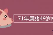 71年屬豬49歲命運