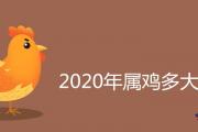 2020年屬雞多大