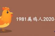 1981屬雞人2020年運勢