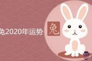 87年兔2020年運勢好不好 如何化解桃花劫