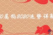 70屬狗2020運勢吉兇解夢佬預測