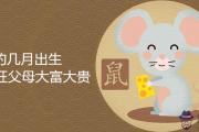 屬鼠的幾月出生旺父母大富大貴