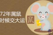 72年屬鼠什麼時候交大運會發財