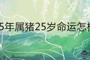 95年屬豬25歲命運怎麼樣 適合結婚嗎