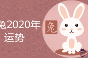 1975年屬兔2020年運勢及運程如何 45歲以后運氣怎麼樣