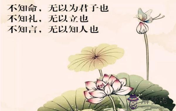 為什麼學八字