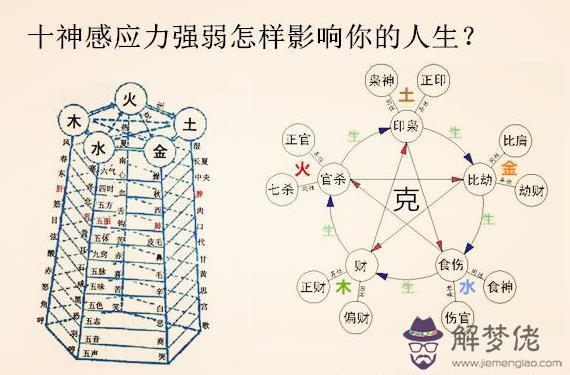 十神感應力強弱怎樣影響你的人生