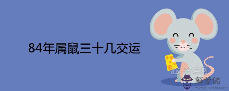 84年屬鼠三十幾交運何時走大運