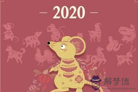 本命年是不是檻年,2020年屬鼠運勢到底好不好