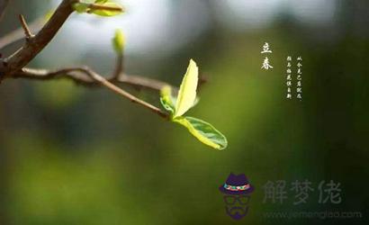 2月4日立春出生的屬羊寶寶是什么命 性格好不好？(圖文)