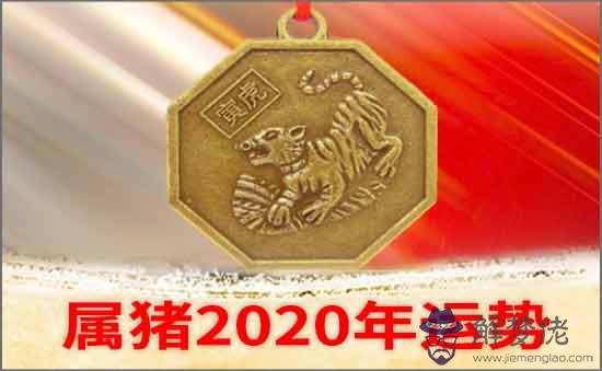 屬鼠2020年運勢及運程