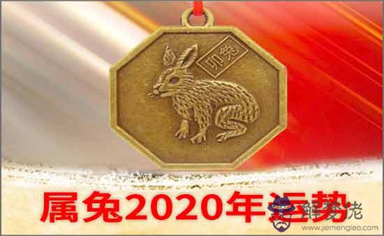 屬兔2020年運勢及運程