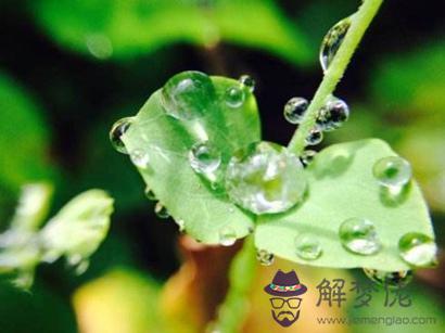 雨水節氣出生的屬豬人好不好 屬豬雨水出生命運如何？(圖文)