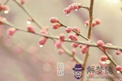 2月4日立春出生的屬雞寶寶是什么命 一生運勢好不好？(圖文)