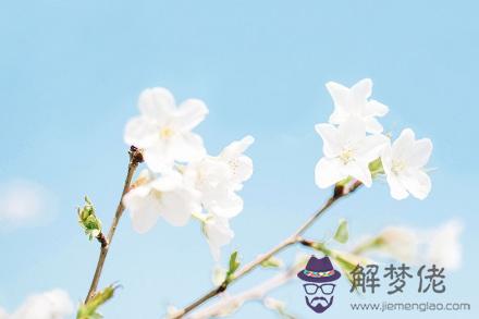 屬豬2019年過年之前能交到女朋友嗎？有沒有桃花運？(圖文)