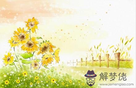 屬鼠的人2019年剩下時間桃花運好不好？能脫單嗎？(圖文)