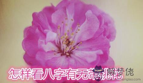 怎樣看八字有無帶桃花