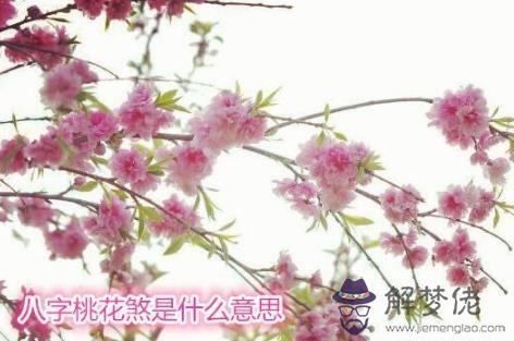 八字桃花煞是什麼意思