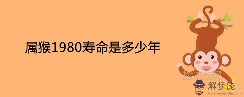 屬猴1980壽命是多少年41歲有一災是真的嗎