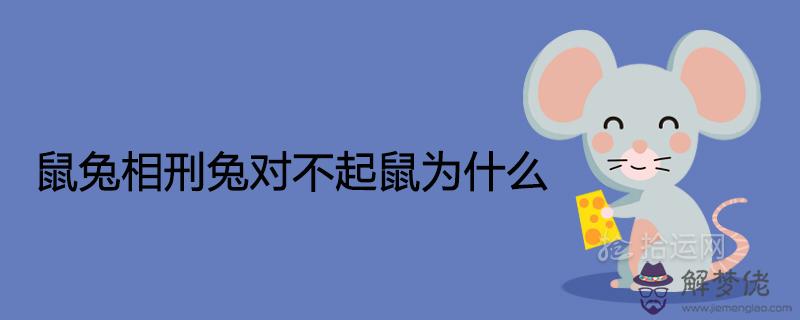 鼠兔相刑兔對不起鼠為什么