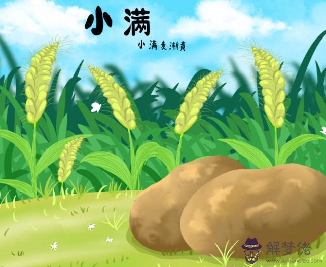 2020年小滿是什麼日子,小滿節氣的天氣特點解析！(圖文)