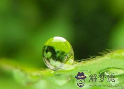 2020年雨水后一天適合祭祀嗎,雨水節氣是什麼意思？(圖文)