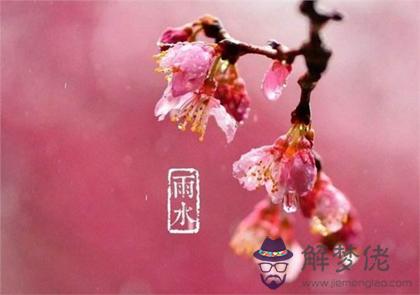 2020年2月19日雨水節氣宜出行嗎,關于雨水節氣諺語解析！(圖文)