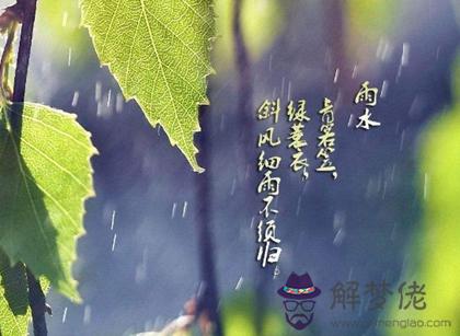 2020年雨水節氣當天裝修合適嗎,關于描寫雨水詩句推薦！(圖文)