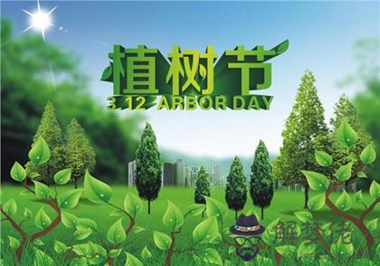 2020年植樹節二月十九適合破土修墳嗎,植樹節的英文怎麼說？(圖文)