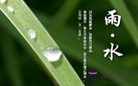 雨水是什麼日子 雨水節氣是在春季嗎？(圖文)