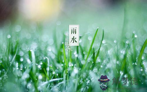 雨水節氣是哪天 按公歷還是農歷計算？(圖文)