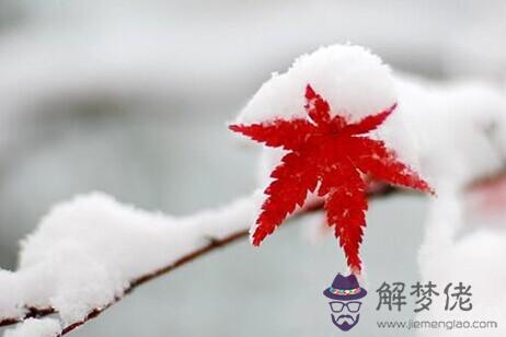 大雪節氣當天訂婚合適嗎 訂婚戒指是男方送的嗎？(圖文)