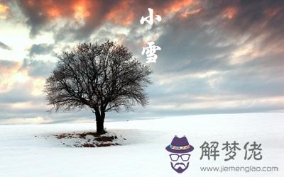 2019年小雪節氣酉時出生喜用神 不同地方小雪諺語(圖文)