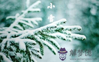 2019年小雪節氣巳時出生的人喜用神是金嗎？(圖文)