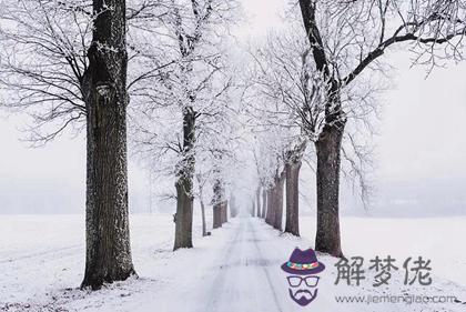 2019年大雪后一天是不是黃道吉日,大雪節氣微信祝福語2019版(圖文)