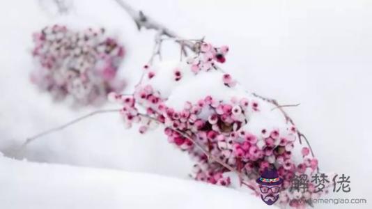 大雪時節出生的女寶寶旺父母嗎 2019年大雪節氣出生寶寶命運解析！(圖文)