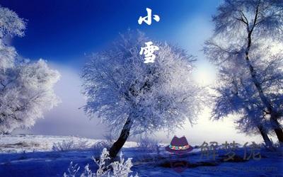 2019豬年小雪節氣午時出生什麼命喜用神是什麼？(圖文)