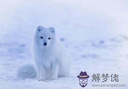 2019年大雪后一天可不可以出遠門,大雪吃什麼傳統食物？(圖文)