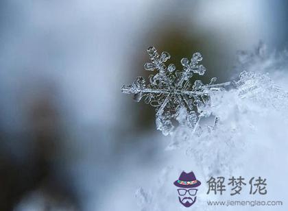 2019年12月7日大雪是安葬逝者吉日嗎,2019大雪出現霧凇嗎？(圖文)