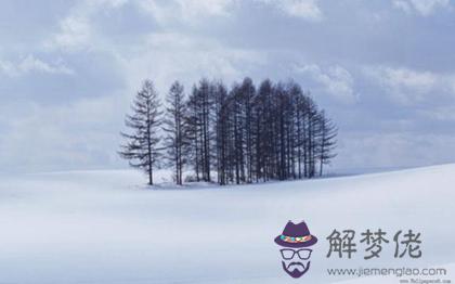 2019年小雪后一天出行出遠門好嗎,還有幾天小雪到來？(圖文)