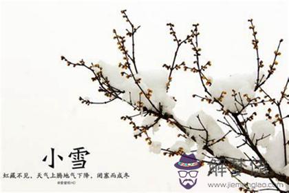 2019年小雪這天喜神吉位在哪里,離2019年小雪還有幾天？(圖文)